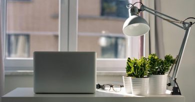 Benefits of Having Office Plants