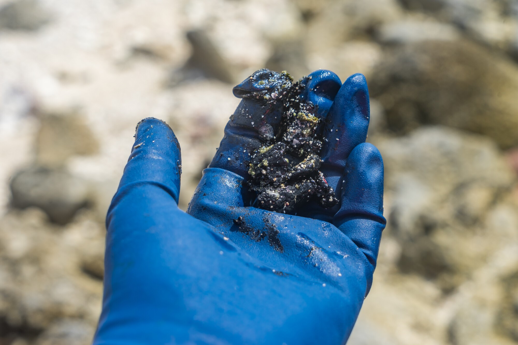 What to Do About an Oil Spill: Everything You Need to Know