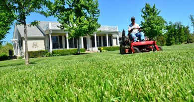 A Quick Guide to Starting a Lawn Care Company