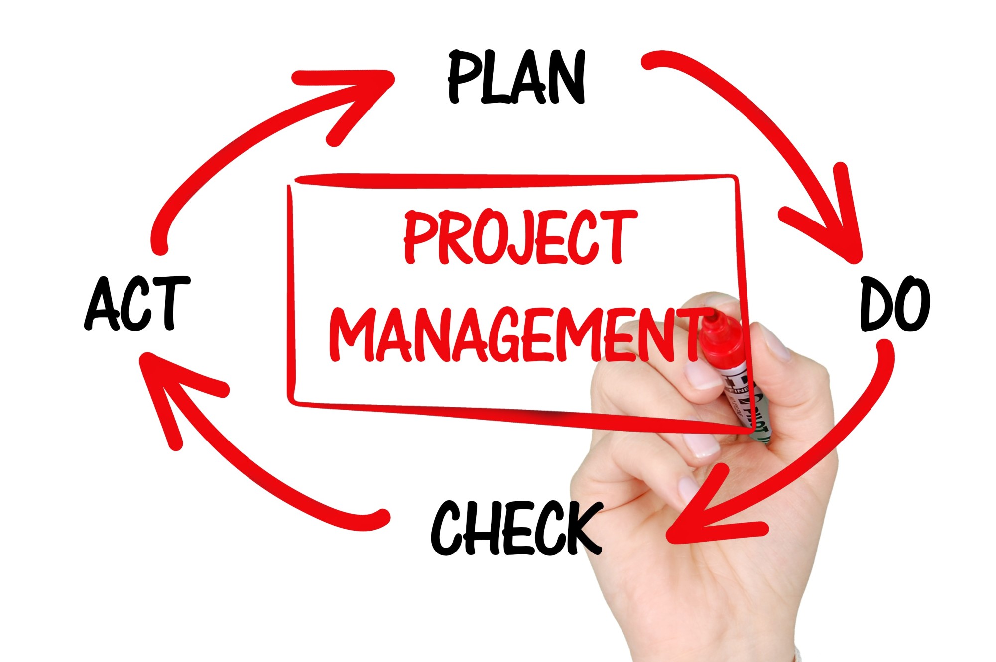 5 Succinct Steps to Better Project Milestones
