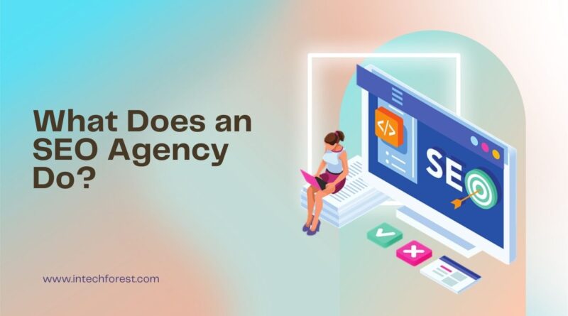 What Does an SEO Agency Do